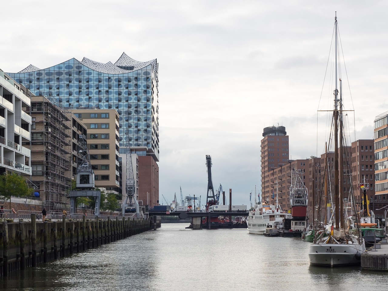 最新元宝鸽吧,城市新休闲胜地探索