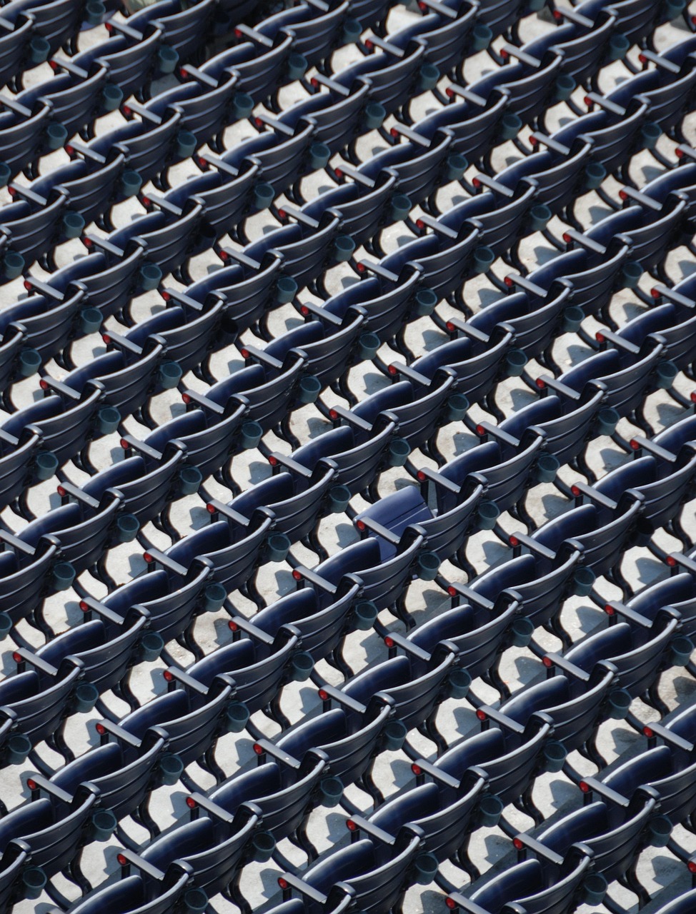 杨洋综艺最新动态,展现多元化魅力的舞台之光闪耀时刻