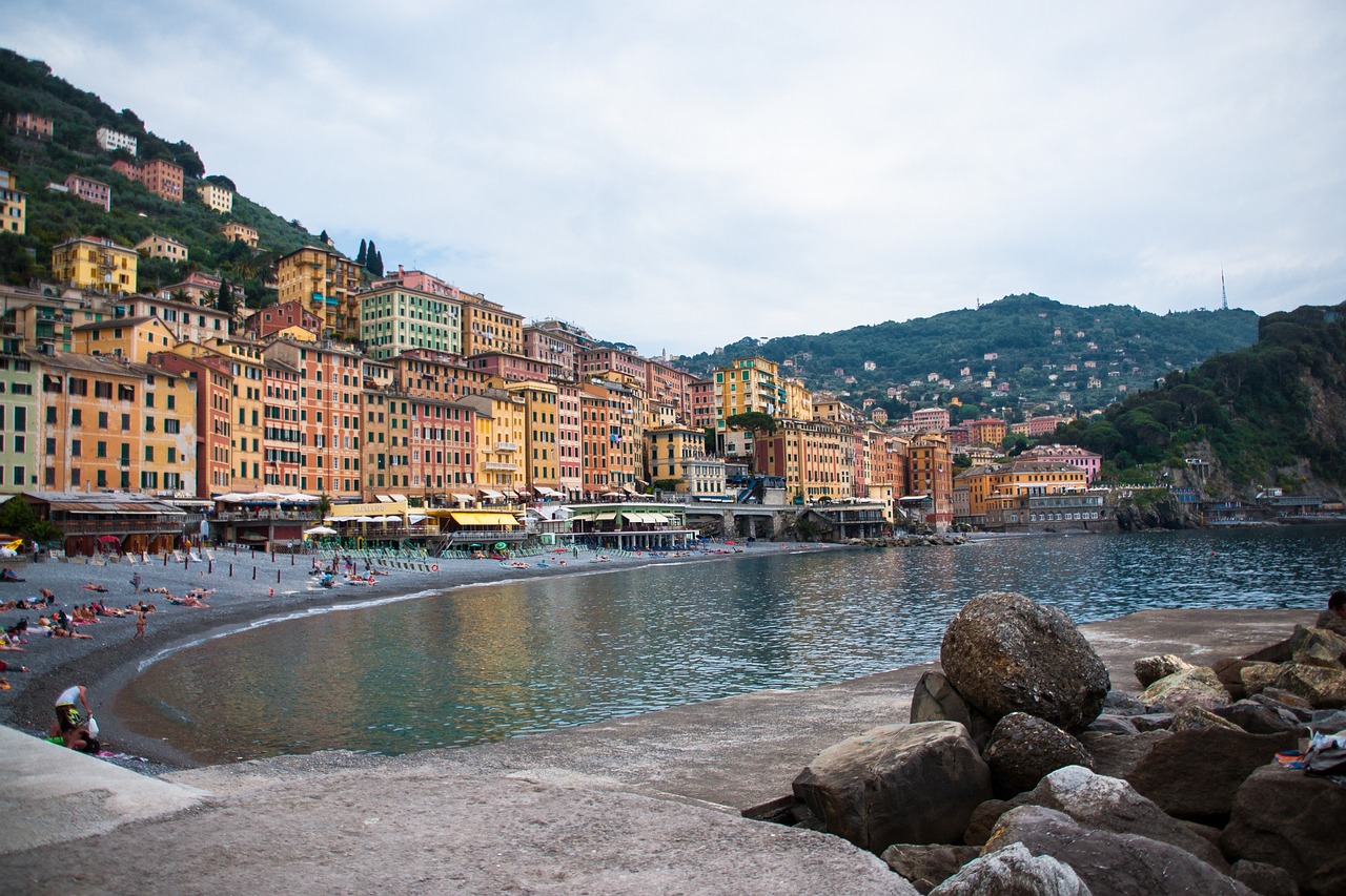 韩国鲍鱼价格最新动态更新