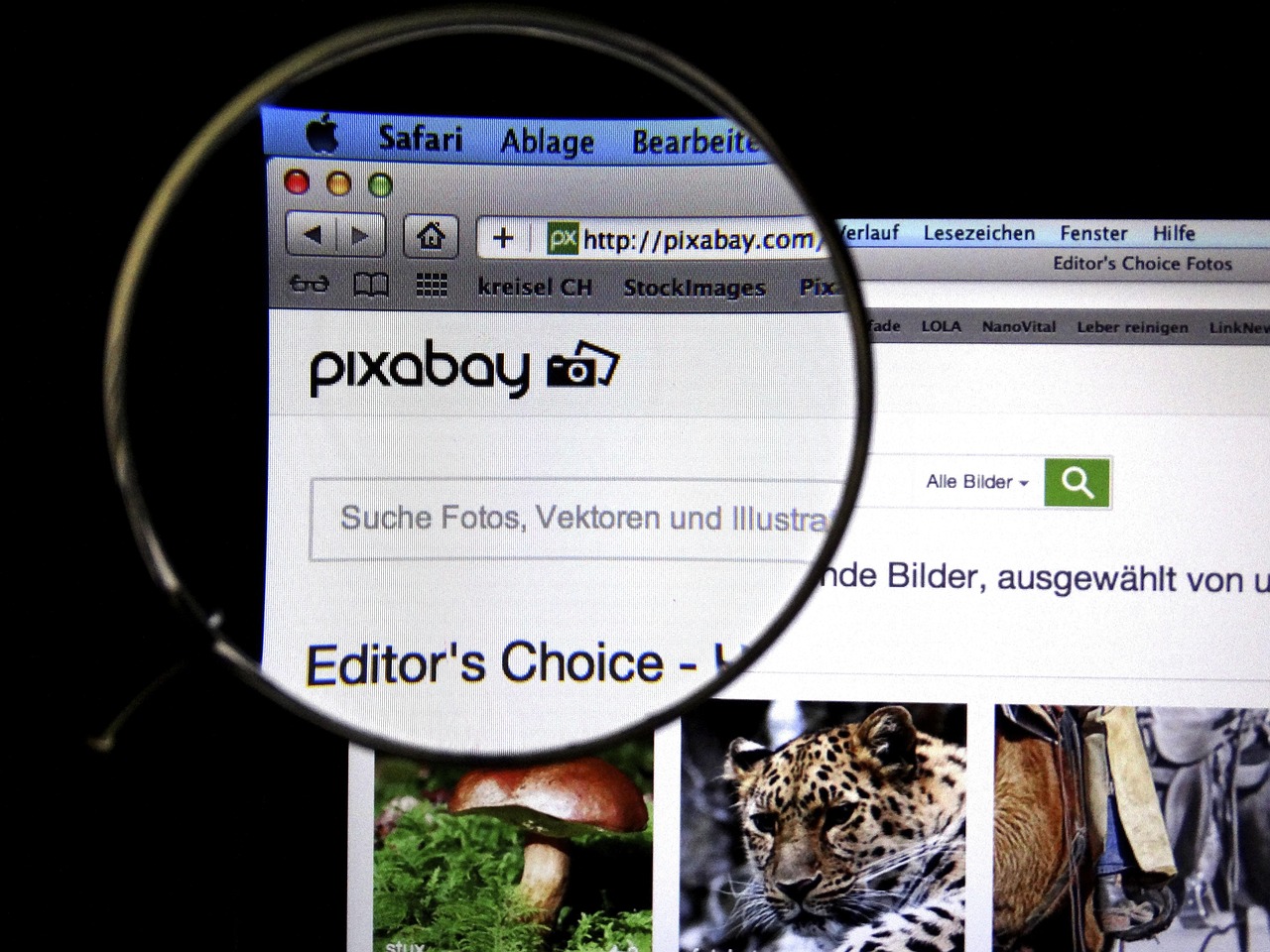 覃塘最新时事热点新闻聚焦，本土声音传递