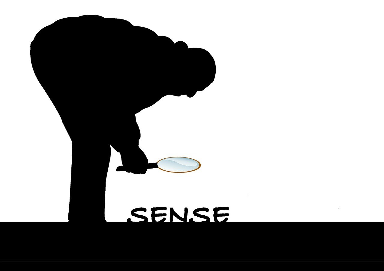 犯罪大师Crimaster最新动态，开启探索犯罪新篇章