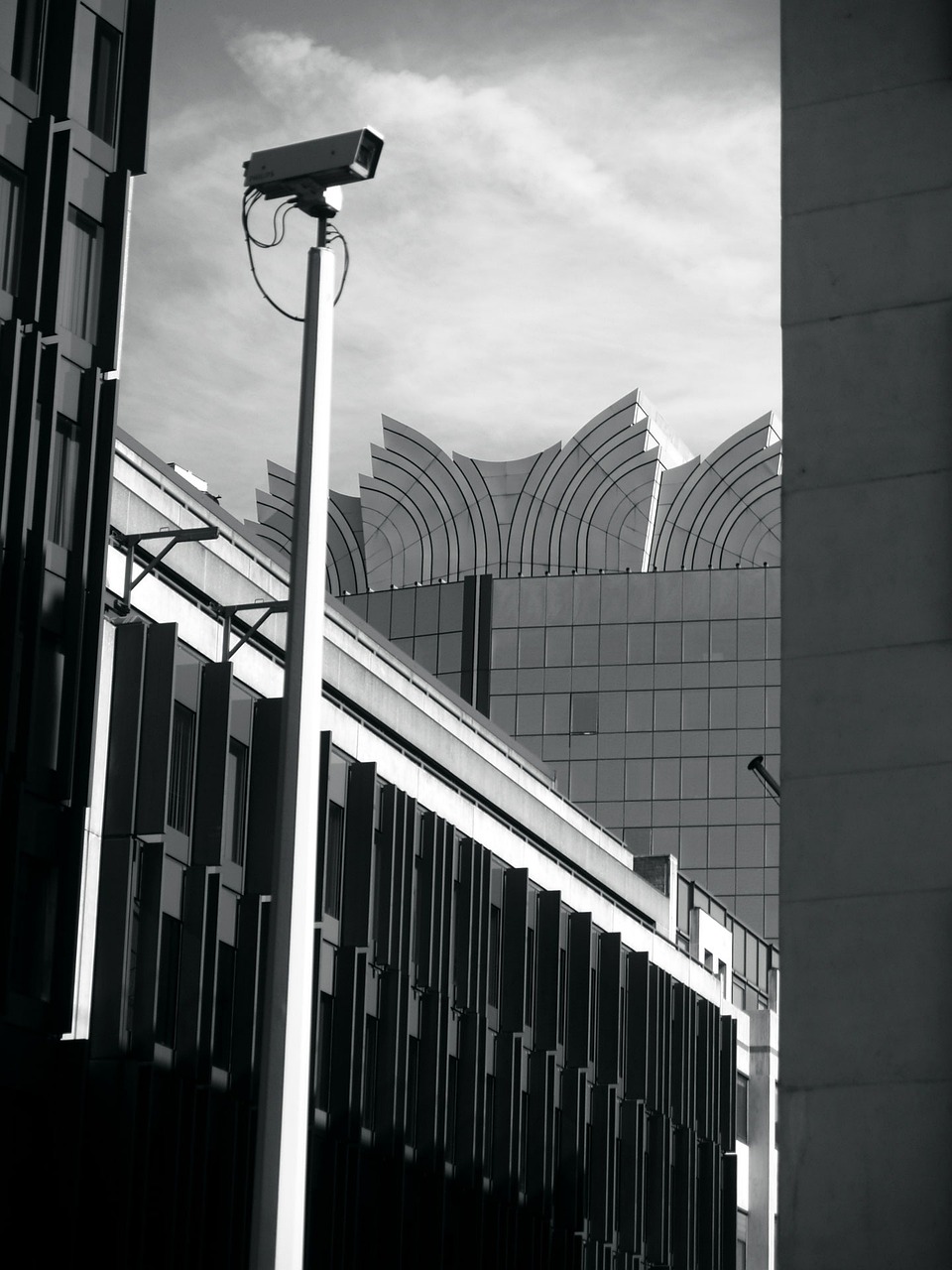 浏河镇最新发展动态概览