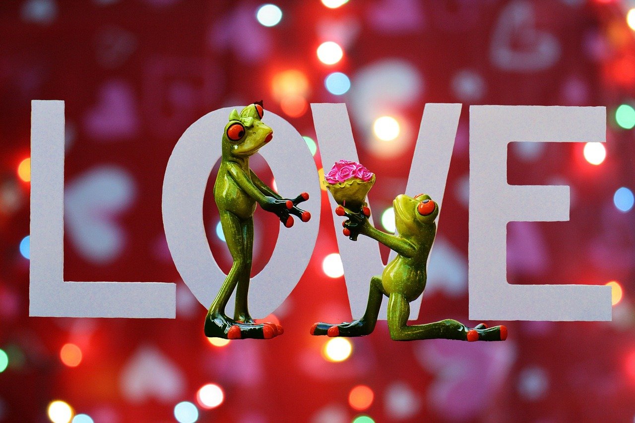 抖音最新情话大赏,甜蜜告白的浪漫之旅