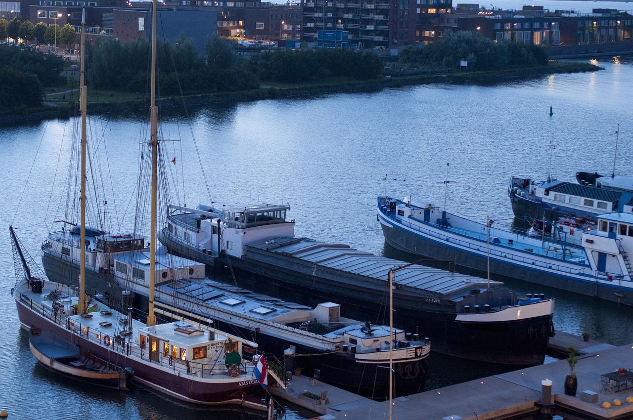 探索数字海洋新纪元，最新网鱼一网打尽！