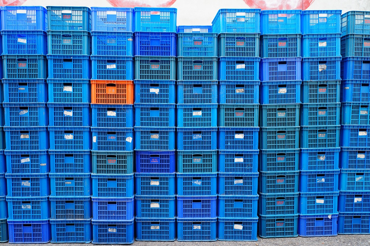 龙家乐最新动态,引领时代潮流,创新娱乐体验