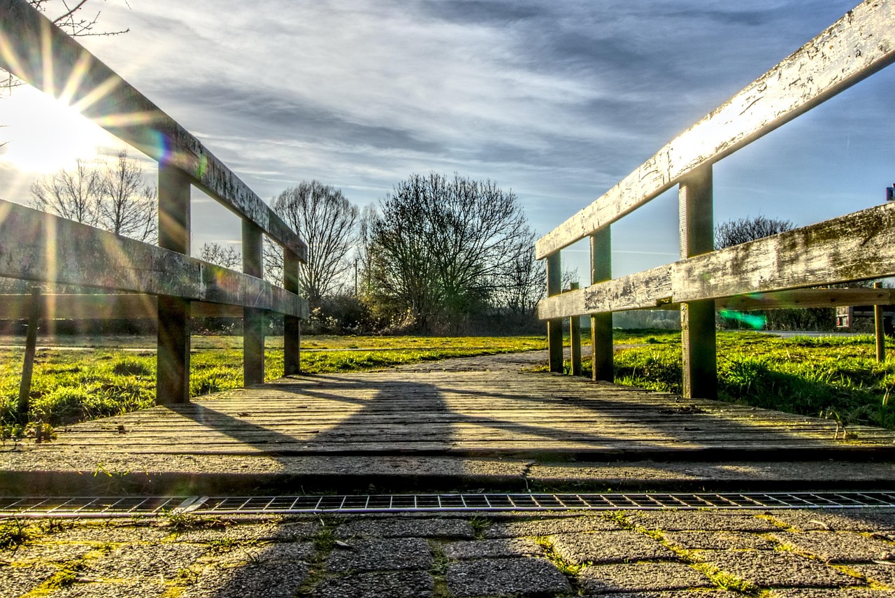 张嘉慧最新动态,闪耀之星持续绽放光彩