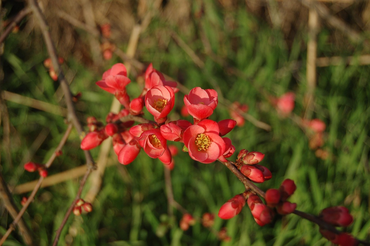 预研季最新动态及趋势深度分析