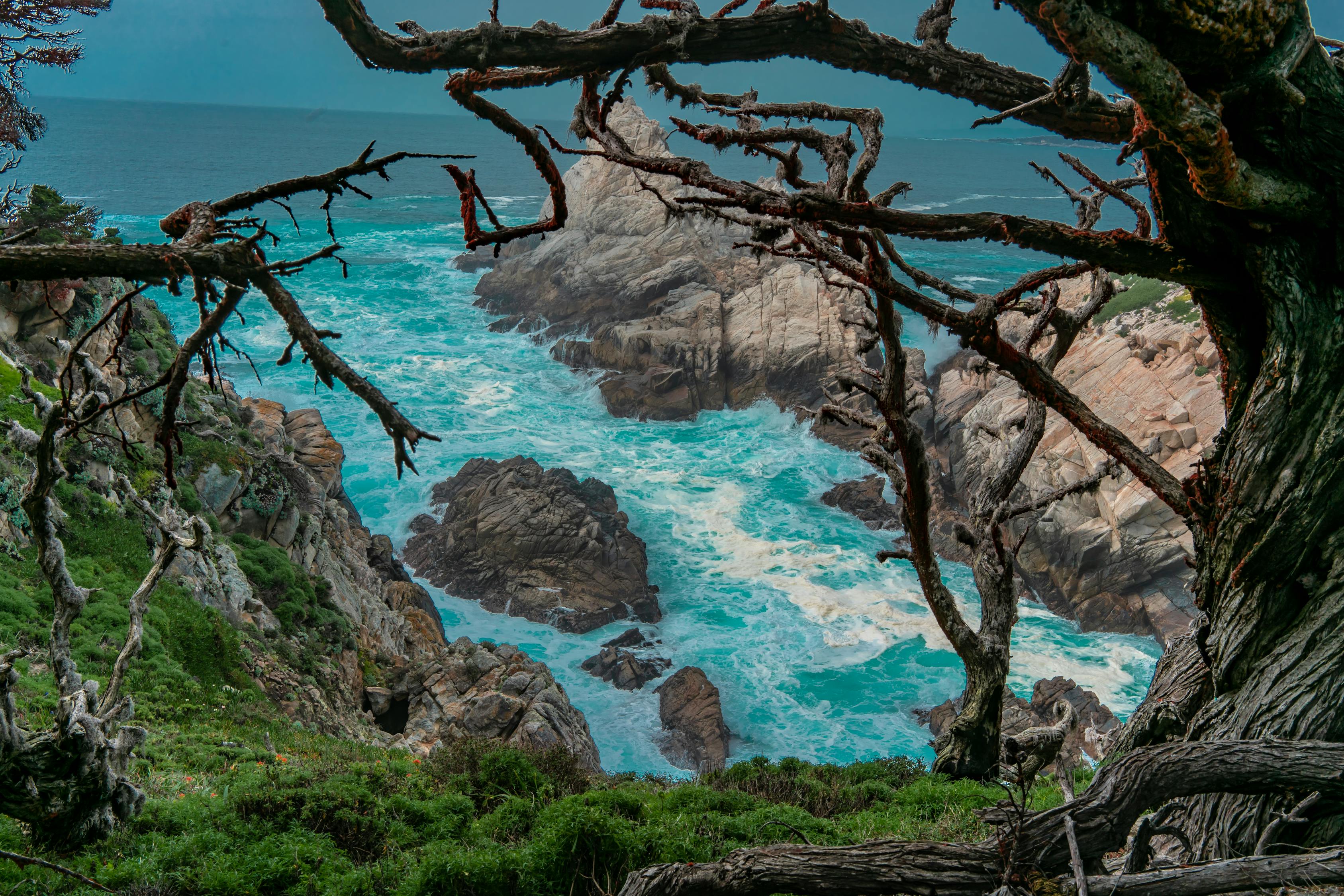 自然之美与艺术之韵的融合,最新山河图赏析