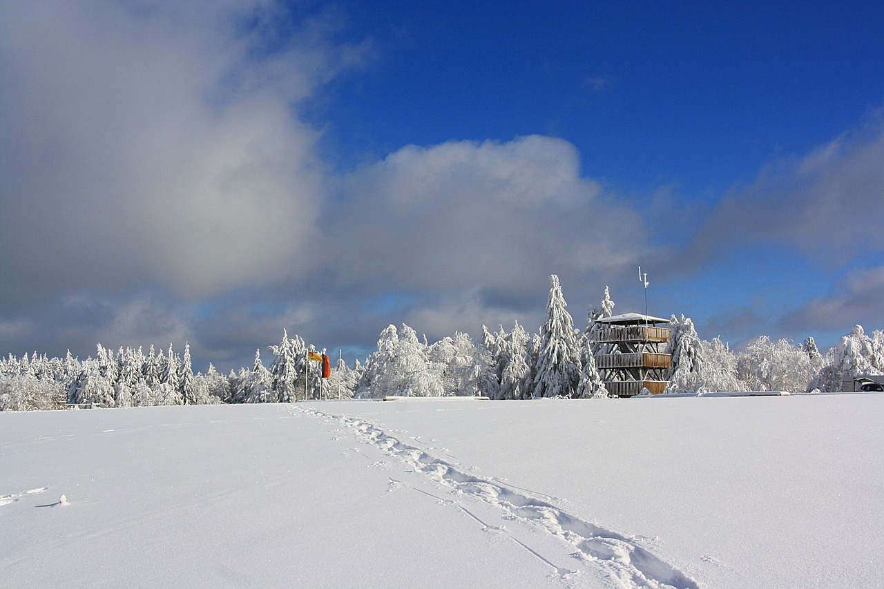 梵净山申遗最新进展,推动文化遗产保护,展现自然美景的魅力与意义