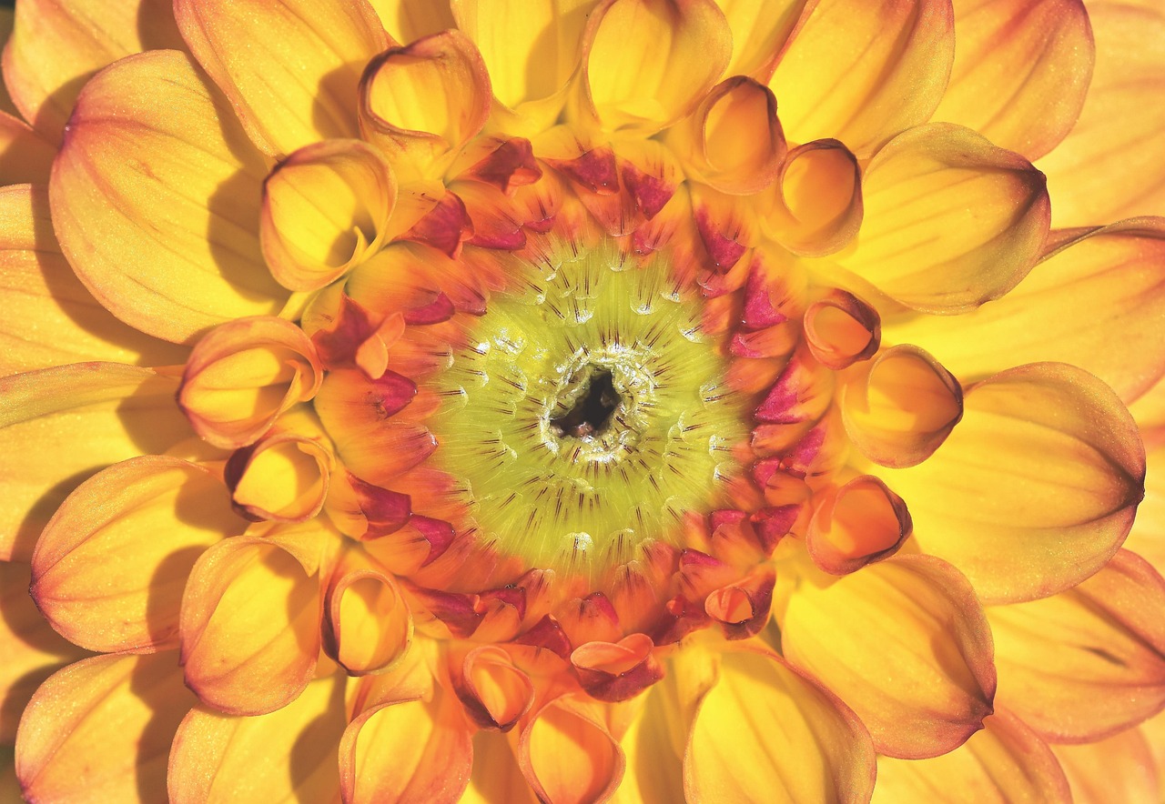 爱升本最新动态,教育提升的力量与未来展望展望