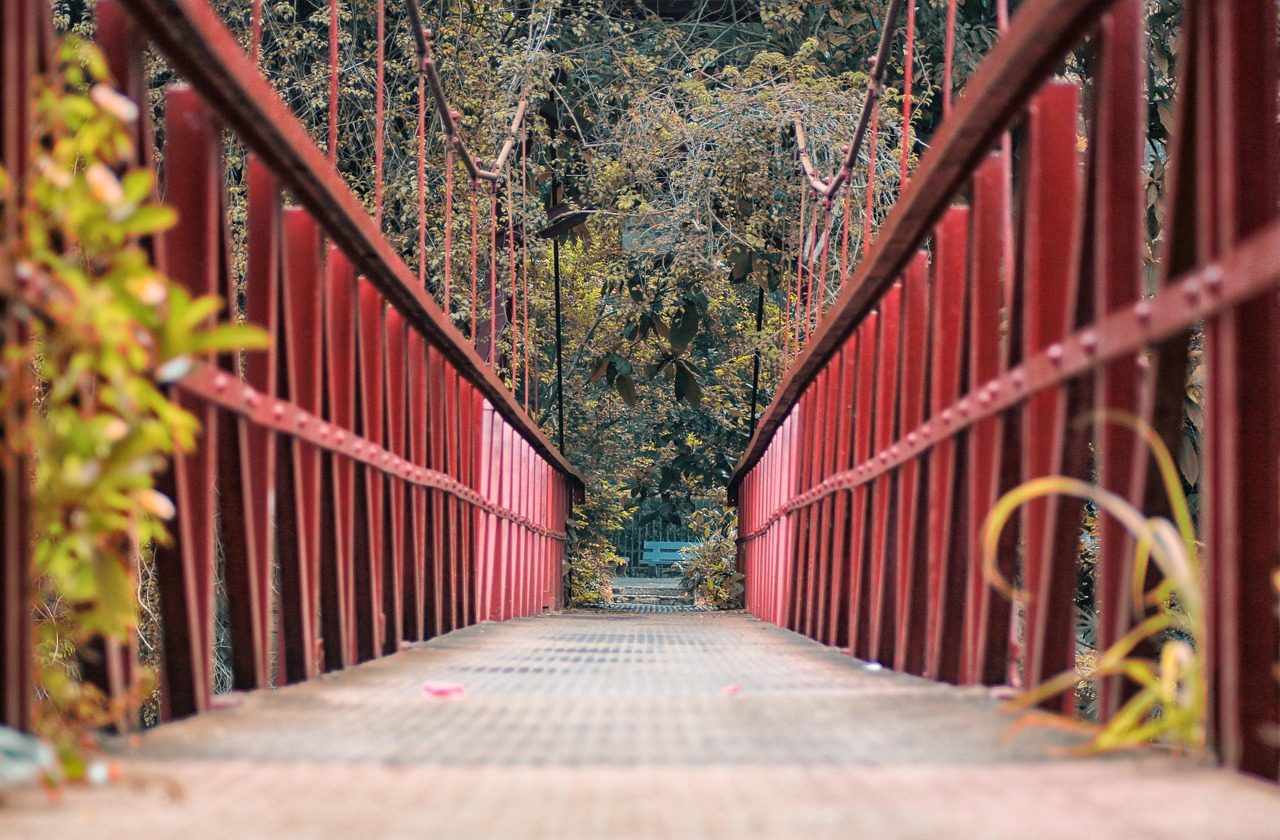 曲阜最新打卡地,探寻古老文化与现代魅力的交汇之旅