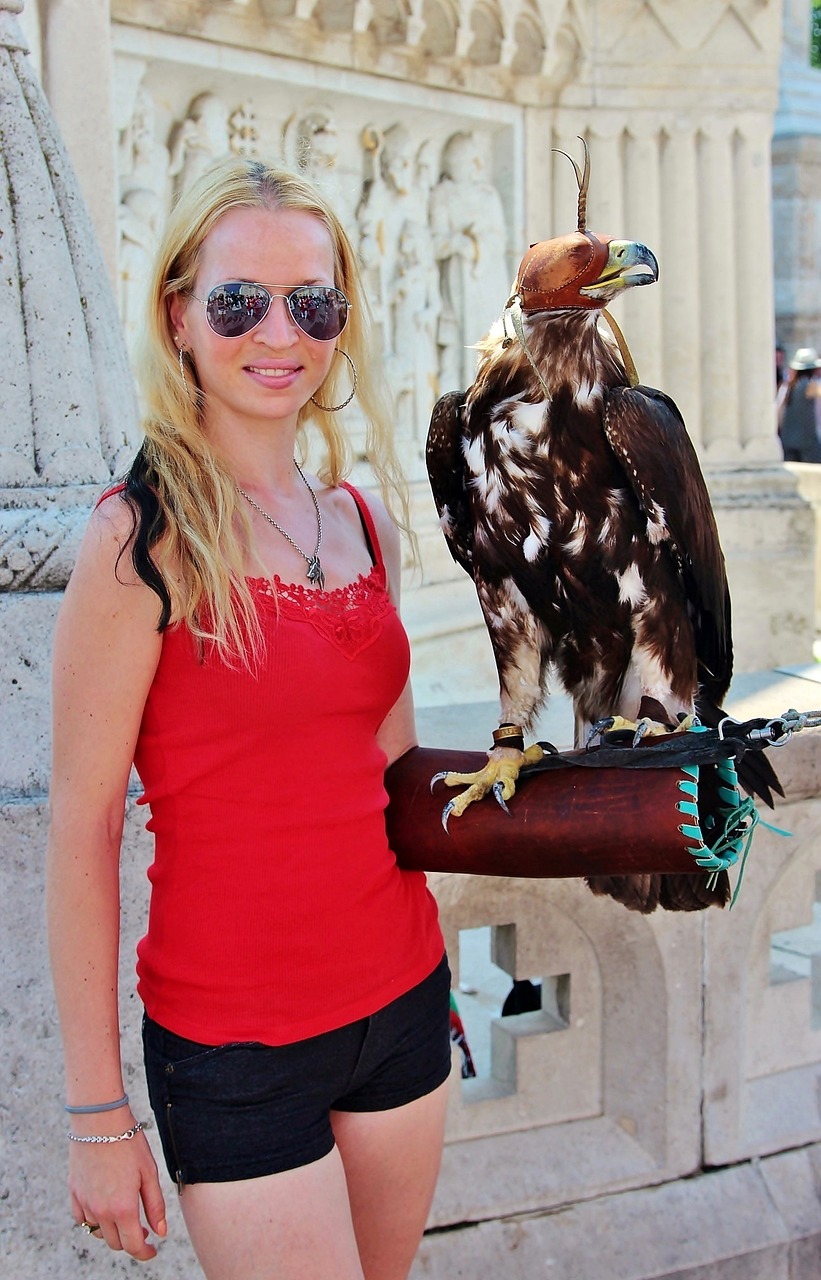 菲律宾疫情最新动态，挑战、应对策略全面解读