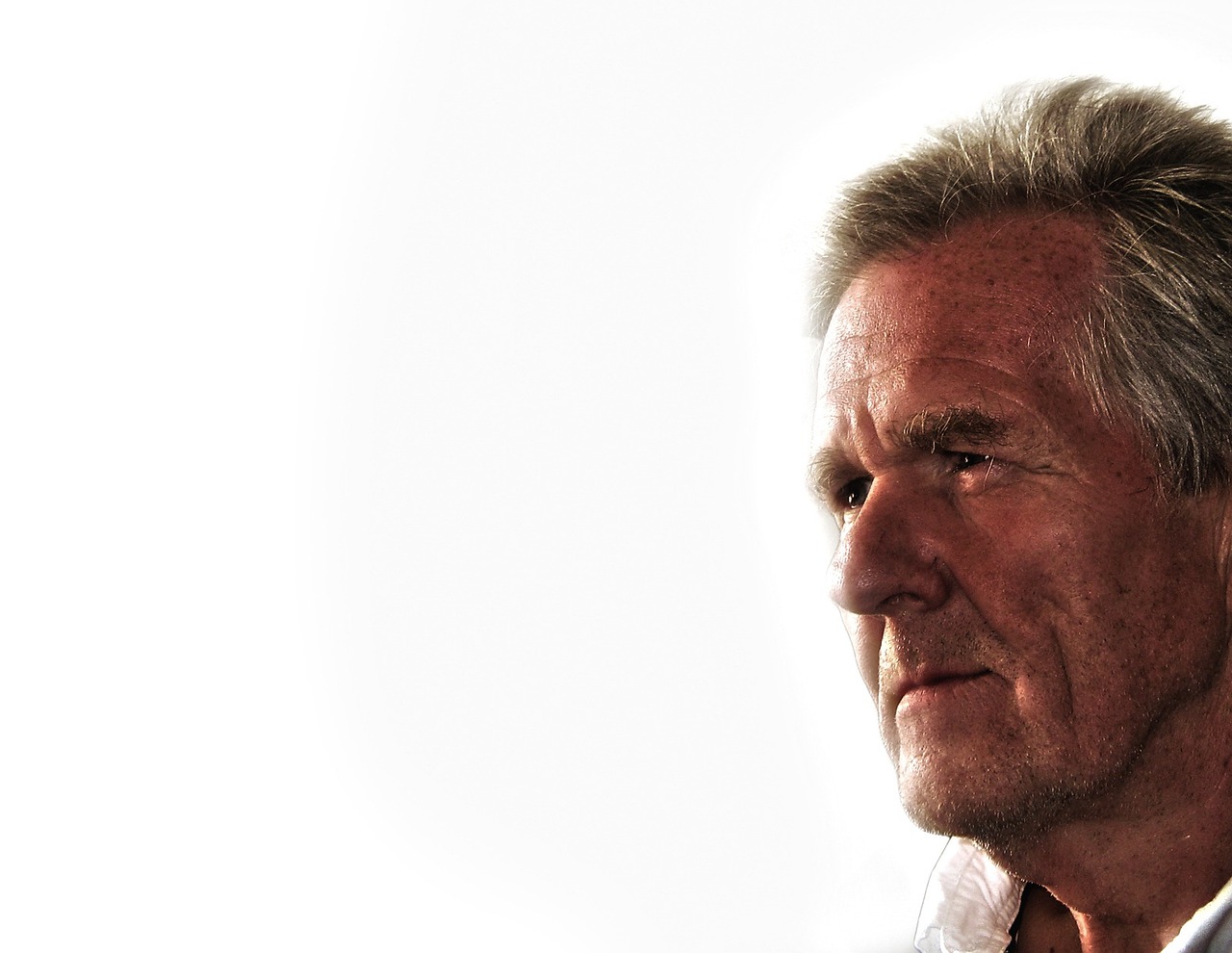 柿霸最新价格动态,市场趋势、品种特色与消费者关注焦点