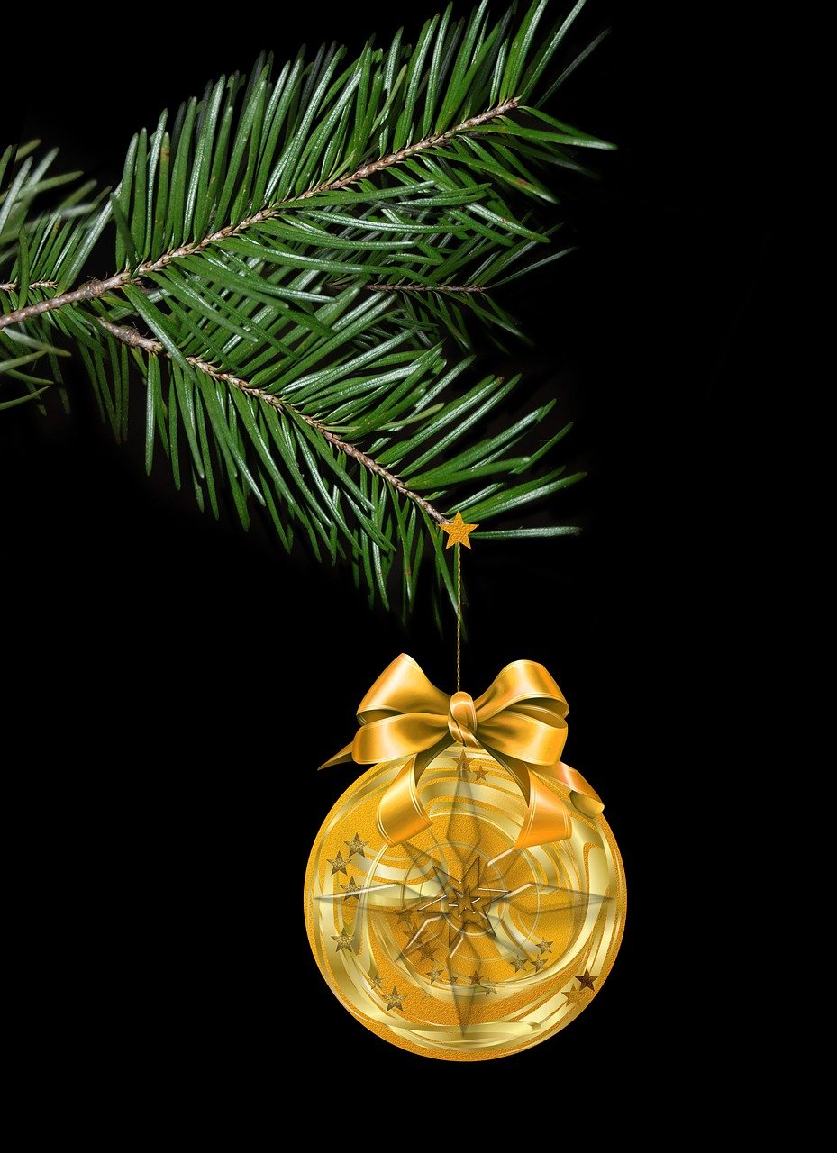 宁波周末活动最新动态概览