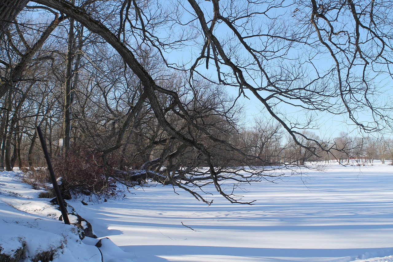 最新季节光遇,探索自然之美的独特体验之旅