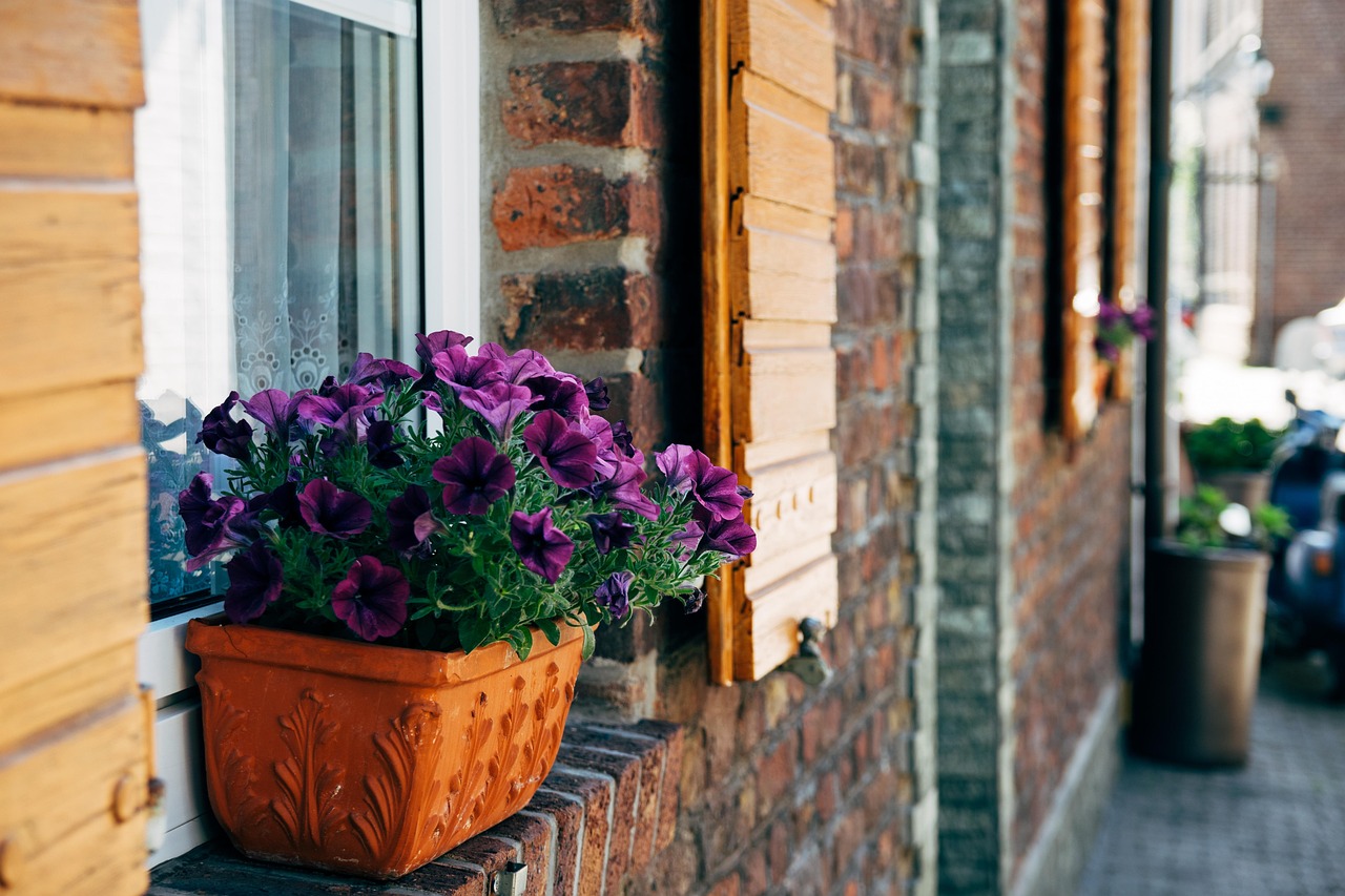 新沂领导层最新任免动态,新一轮人事调整揭秘