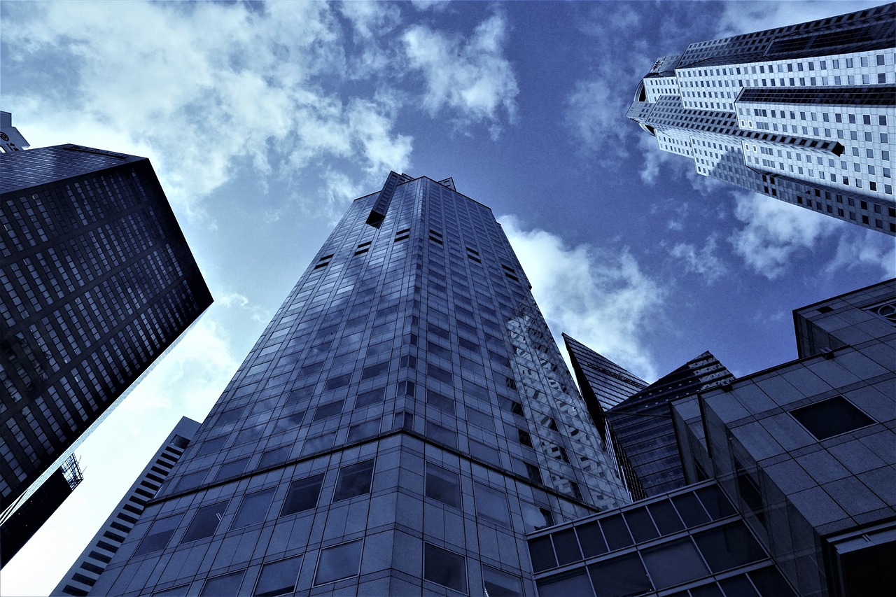 上海城市新貌与发展动力，最新增加的内容与活力之源