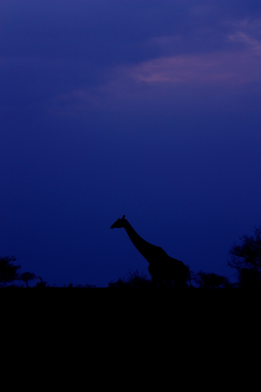 探索前沿科技力量,非吸吧最新动态速递