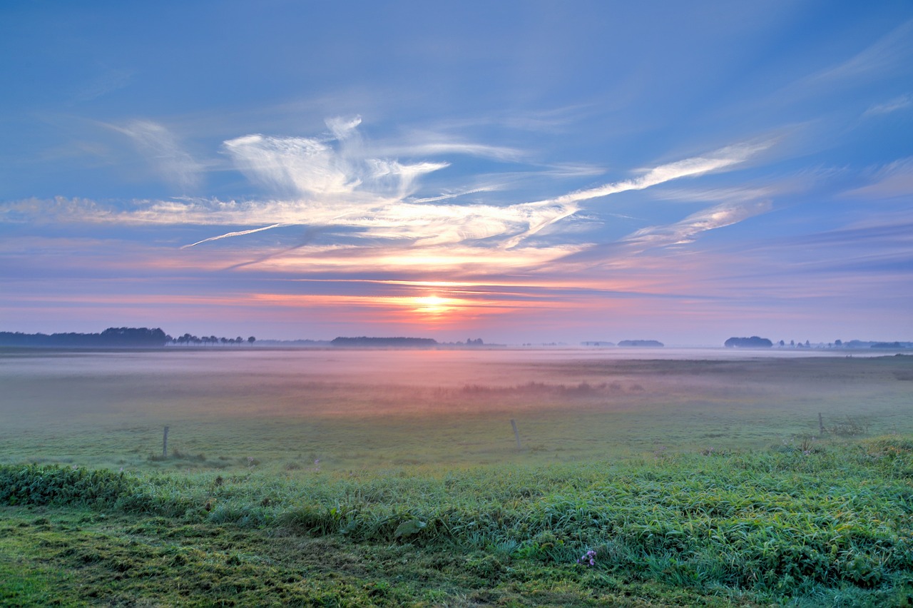东兰高速最新进展及前景展望