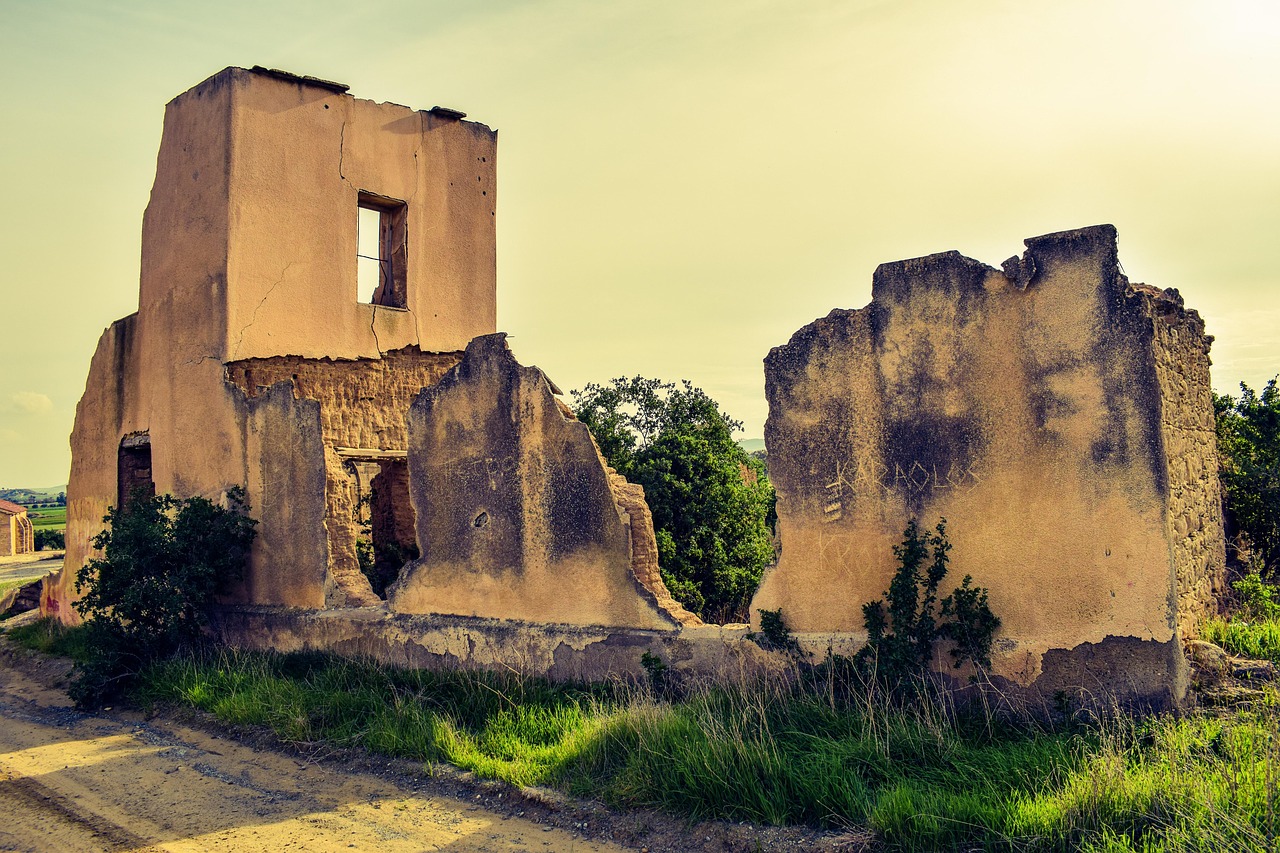关于无房补贴的最新动态，政策调整与市场反应速递