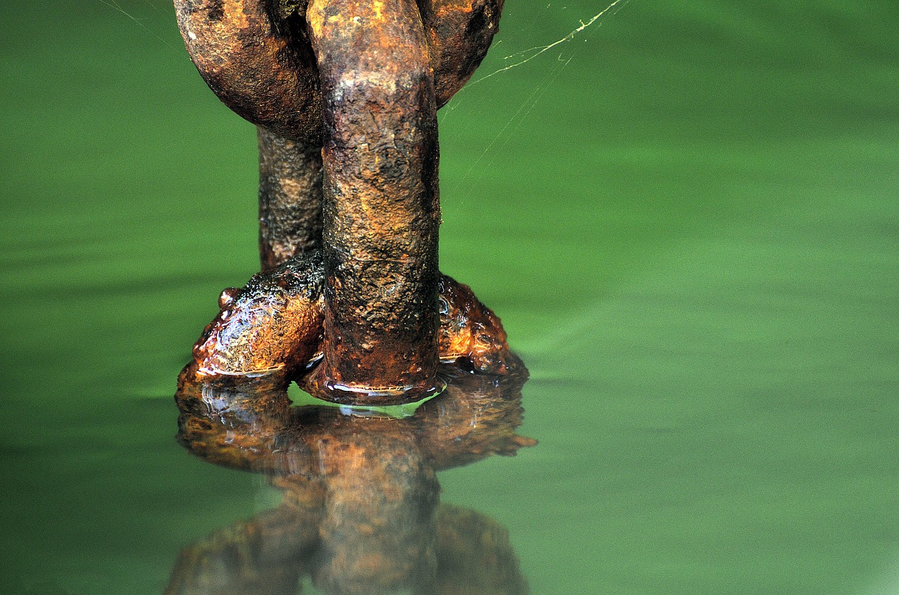 生态链中的独特存在,豺狼虎狈最新揭秘