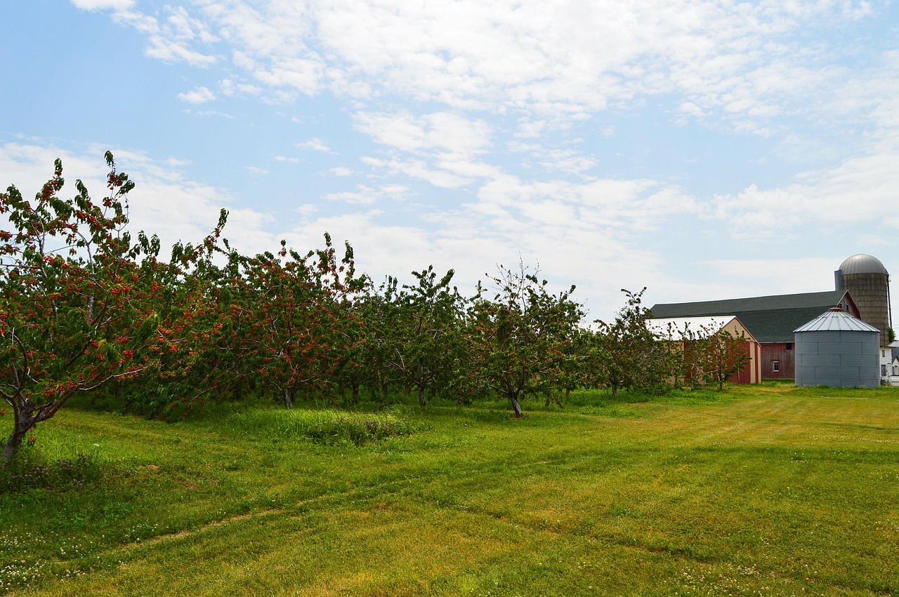 花都疫情最新动态,全面防控措施实施,保障人民生命安全