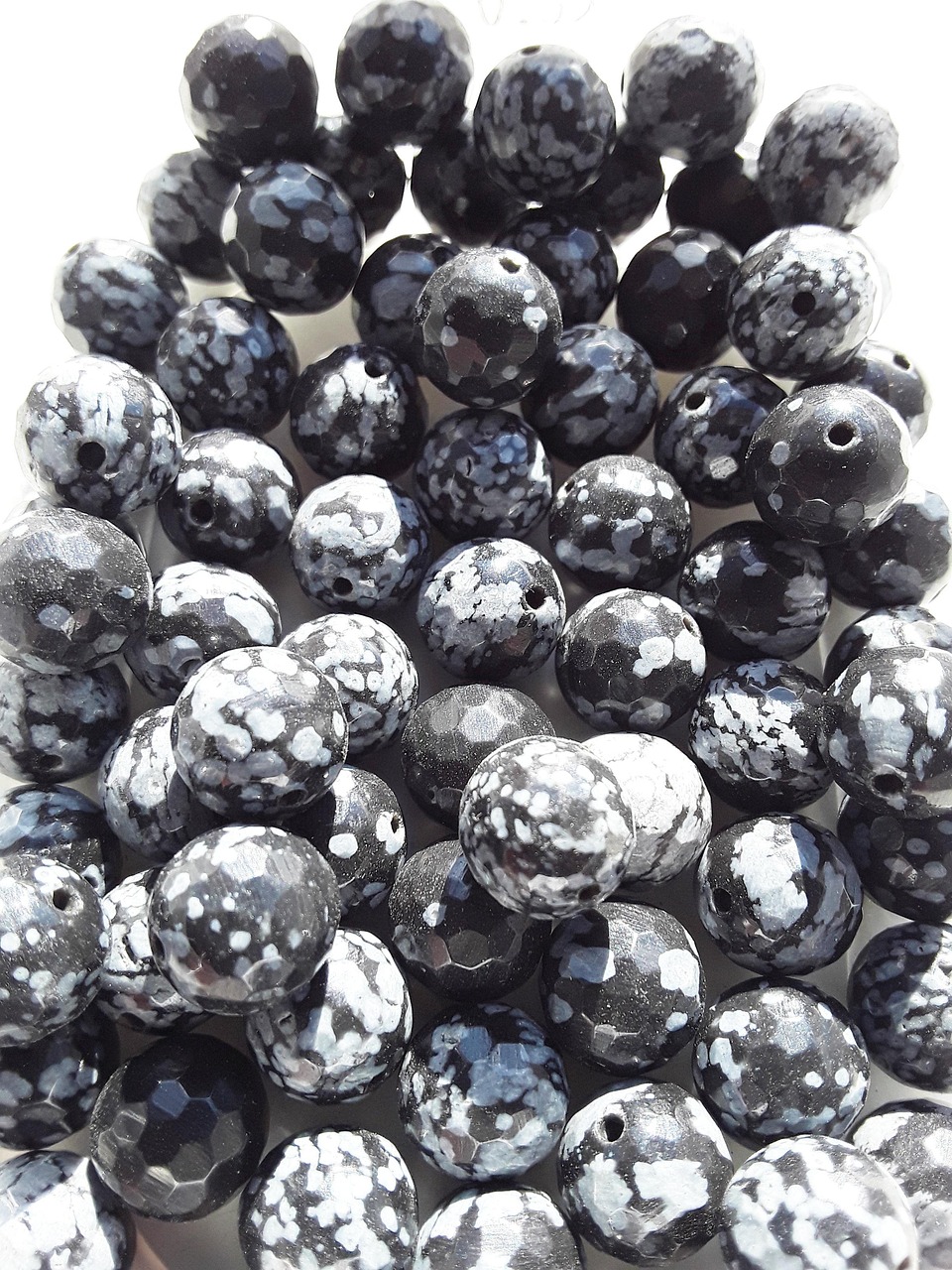 最新苦参碱研究与应用进展概览