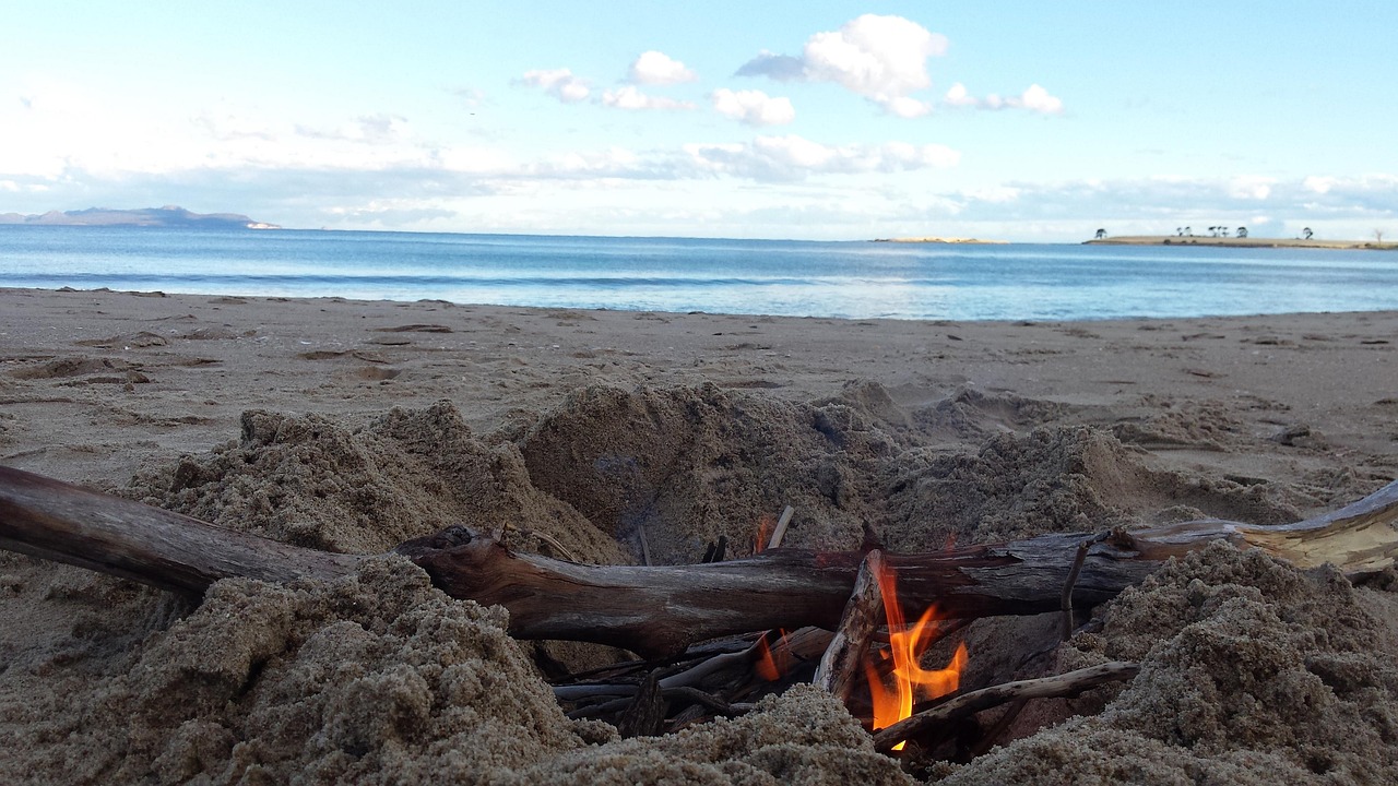 最新青色地址探索与发现之旅