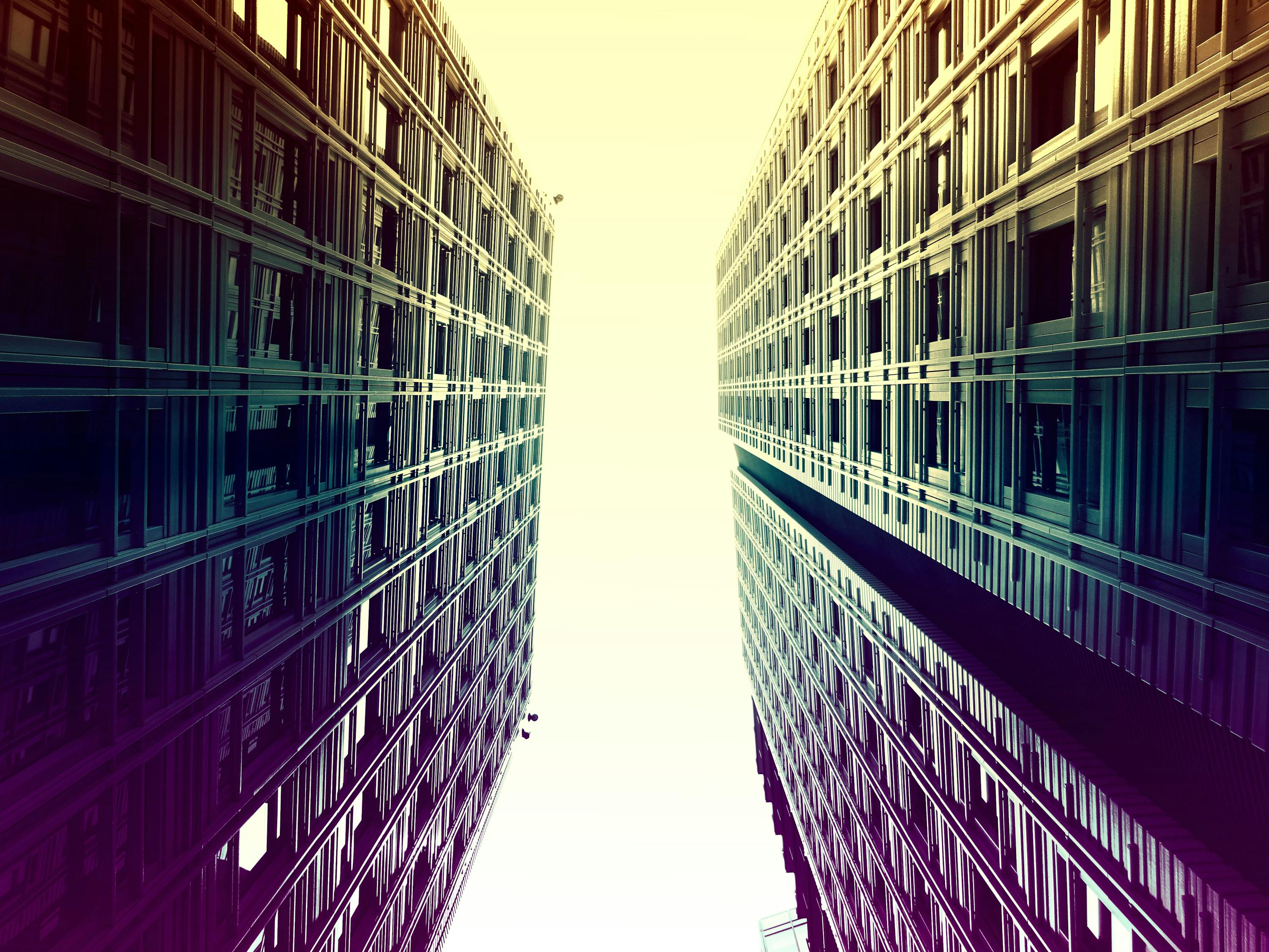 公司最新体系构建，塑造未来竞争优势的核心引擎