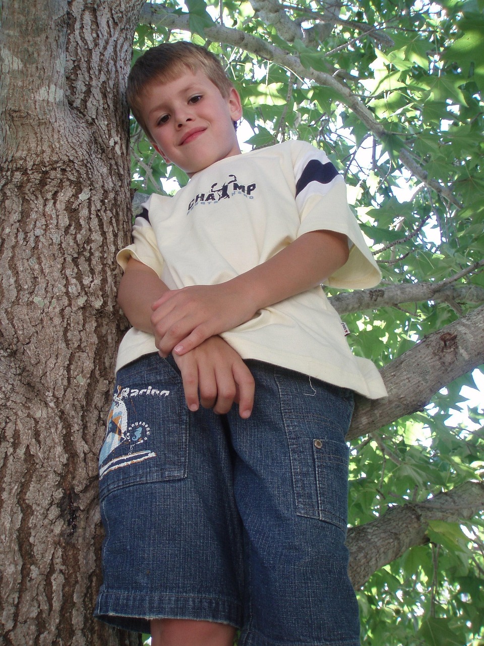 鳌江疫情最新动态,全面防控,共守家园安全