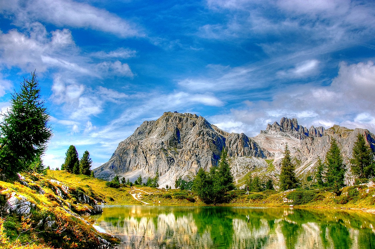 成都最新地震动态,全面解析与深度关注