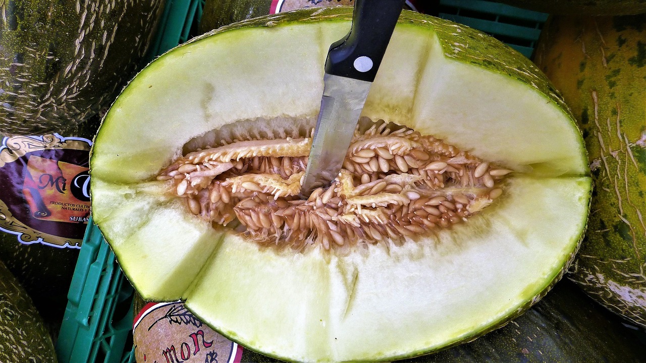 中印局势最新动态,多维度深度解析与最新状态报告