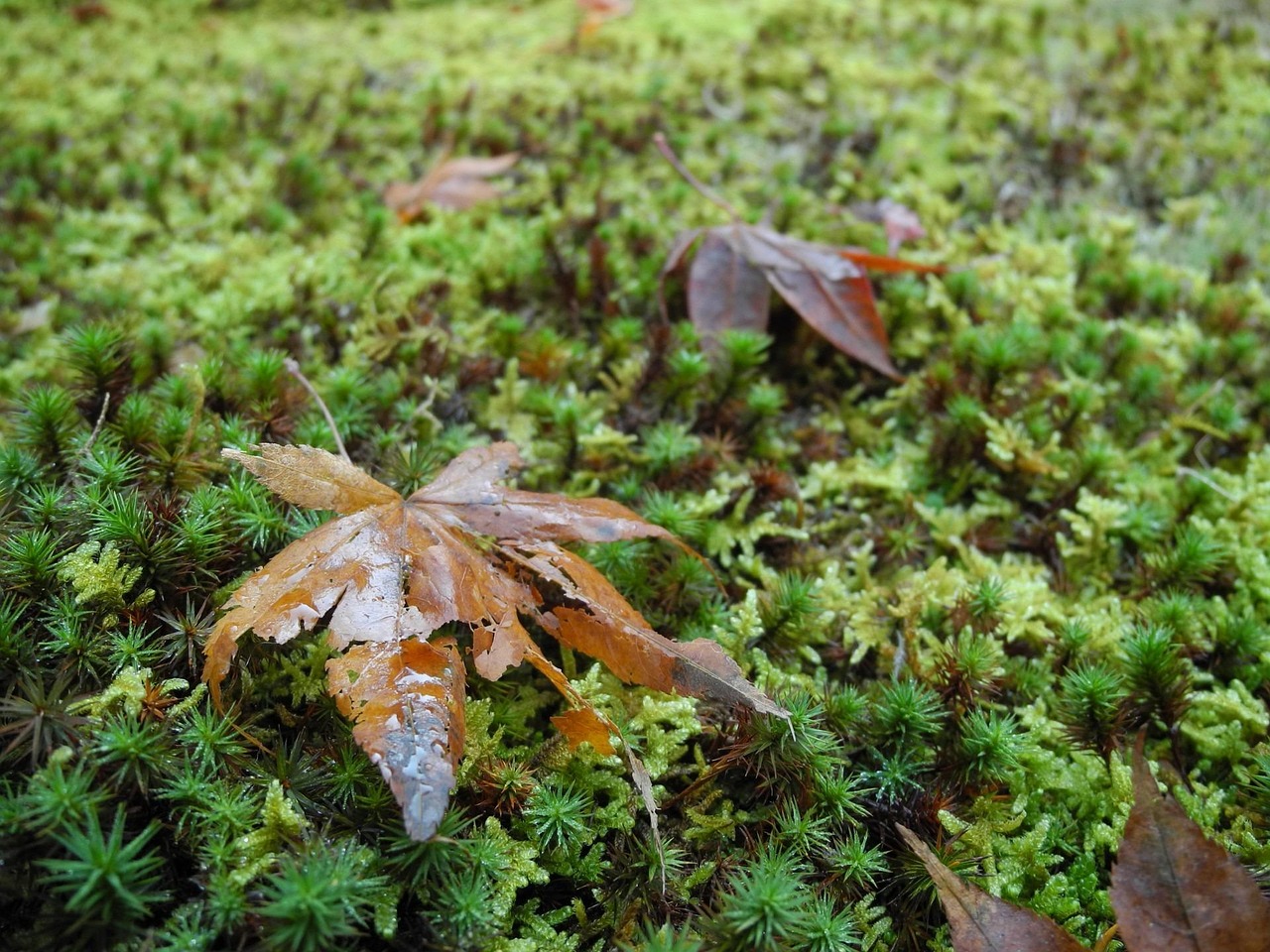 聚焦当下热点事件与人物动态,热搜榜实时更新