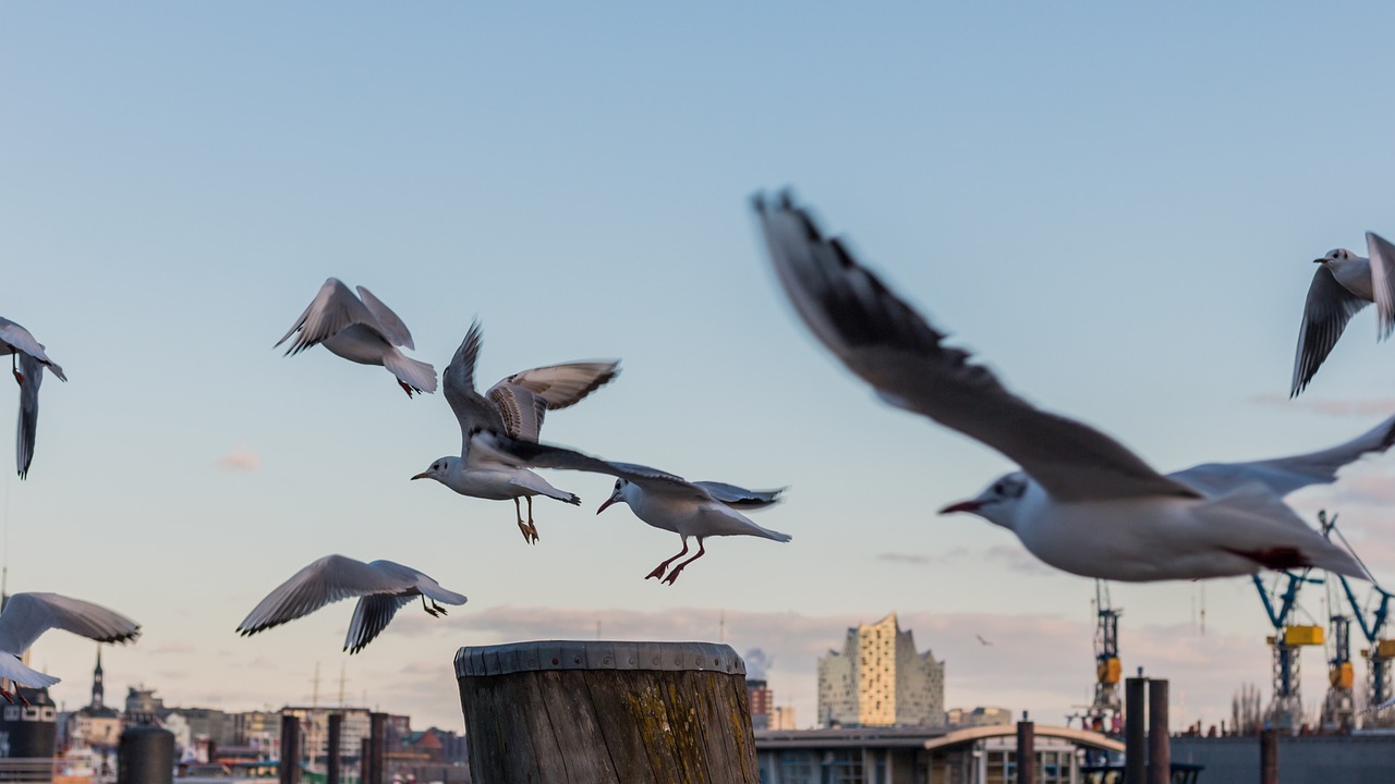 武汉最新面貌,活力之城,展翅未来之翼