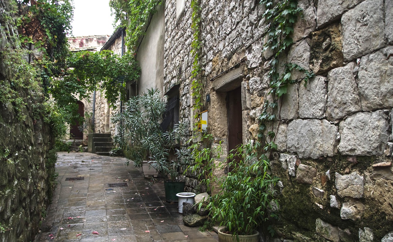 最新河南村长，时代先锋引领乡村发展之路