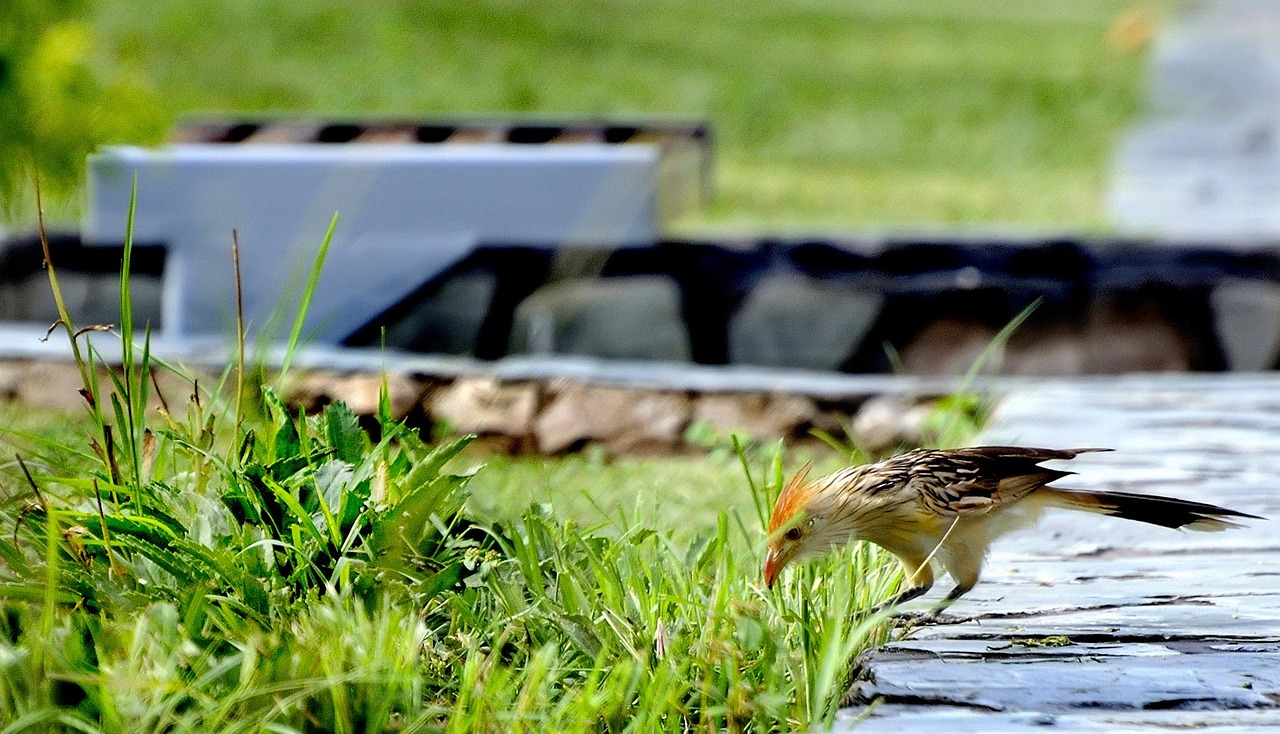 深圳云海广场最新发展动态与独特魅力揭秘