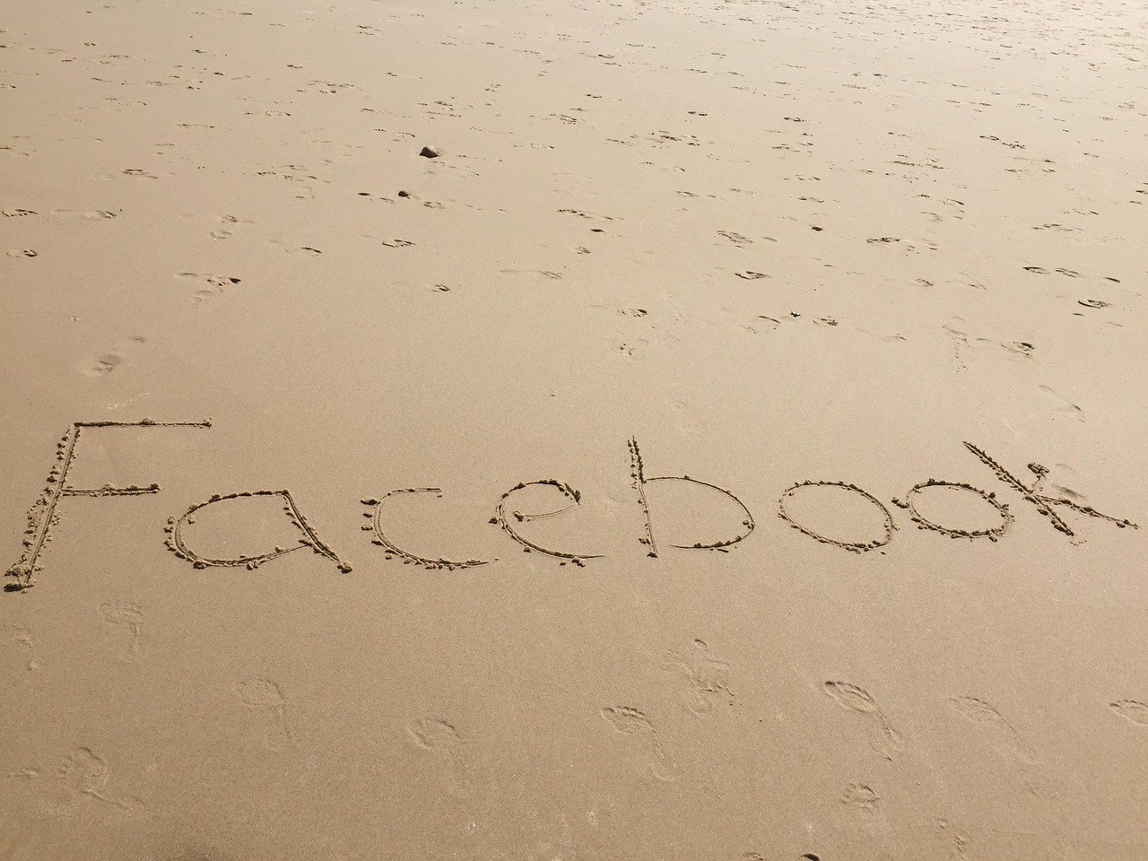 种子帝网站最新动态与深度解析报道速递