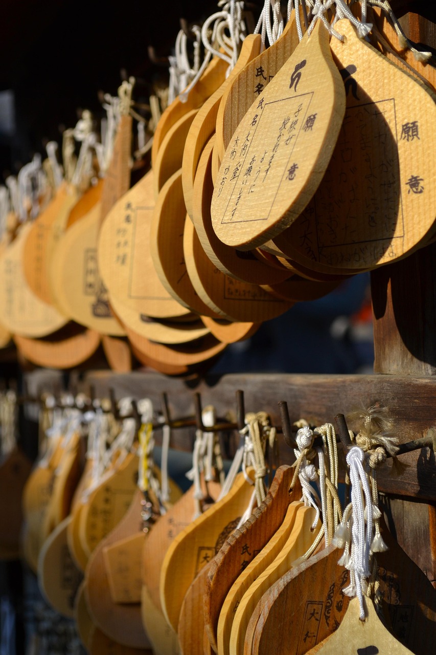 最新普洱茶,传统与创新完美融合的品味之旅