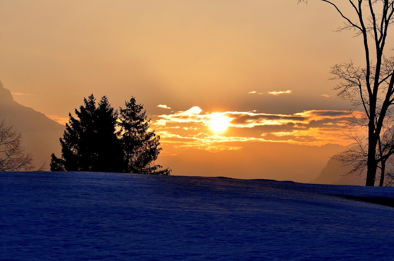 早晨的第一缕阳光,唤醒活力与希望
