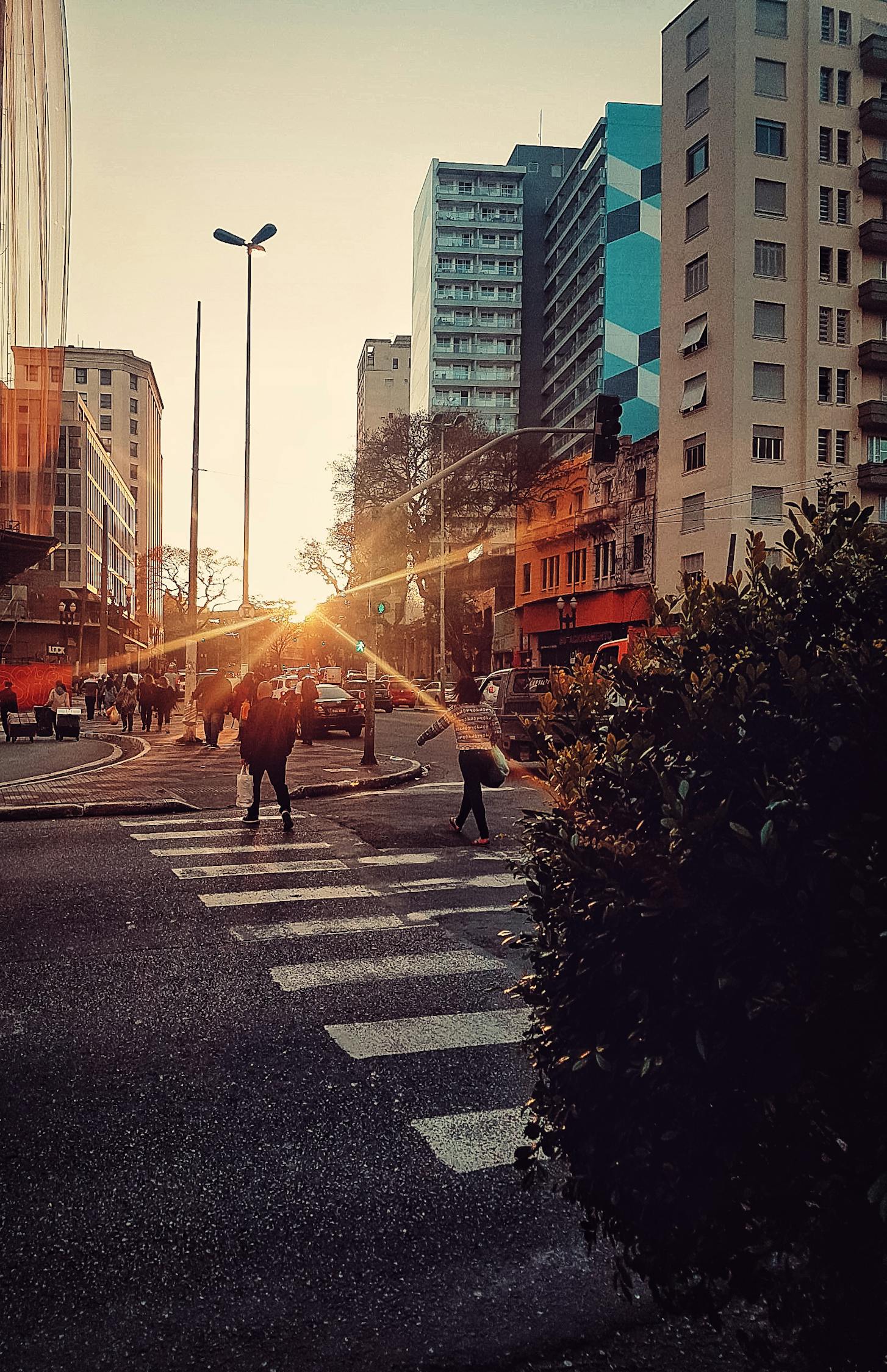 天津最新区域，繁荣发展的都市新面貌