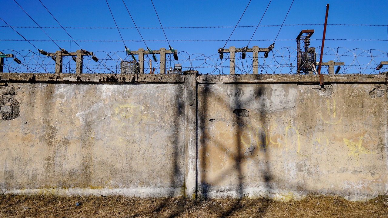 马西屏最新动态揭秘,引领前沿科技,创新行业先锋