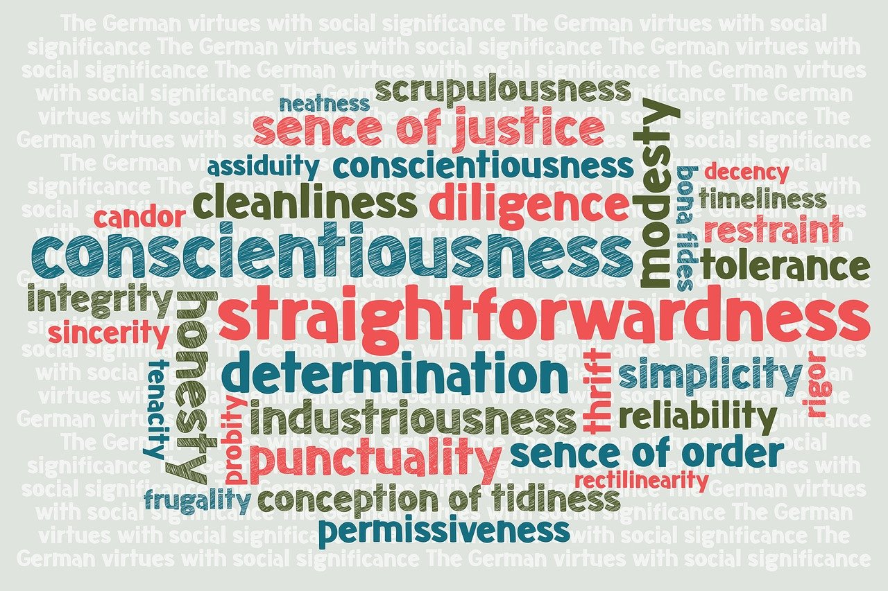 菲迪克最新进展及其发展影响概述