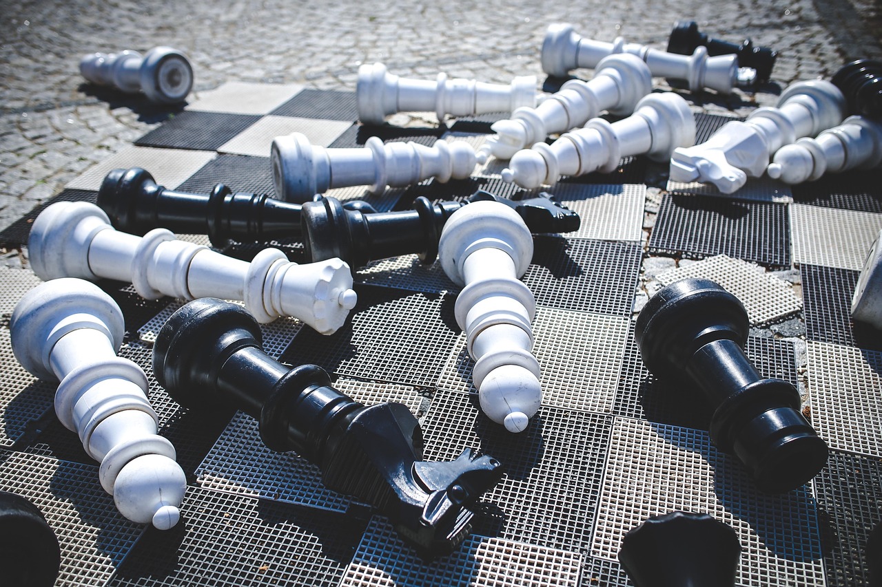 傅书网最新动态与深度解析揭秘