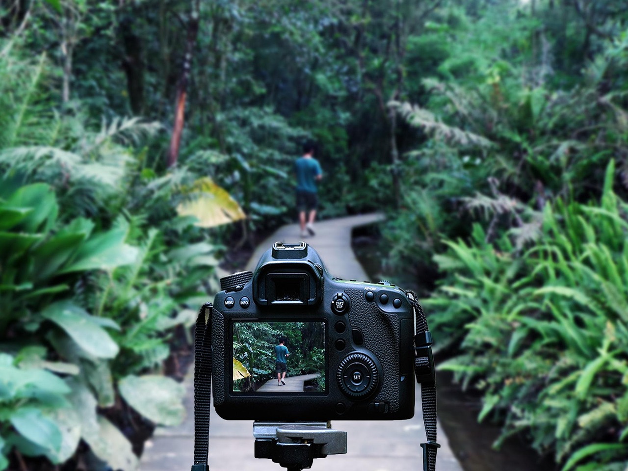 广东宏远最新动态更新，球队最新状况揭秘