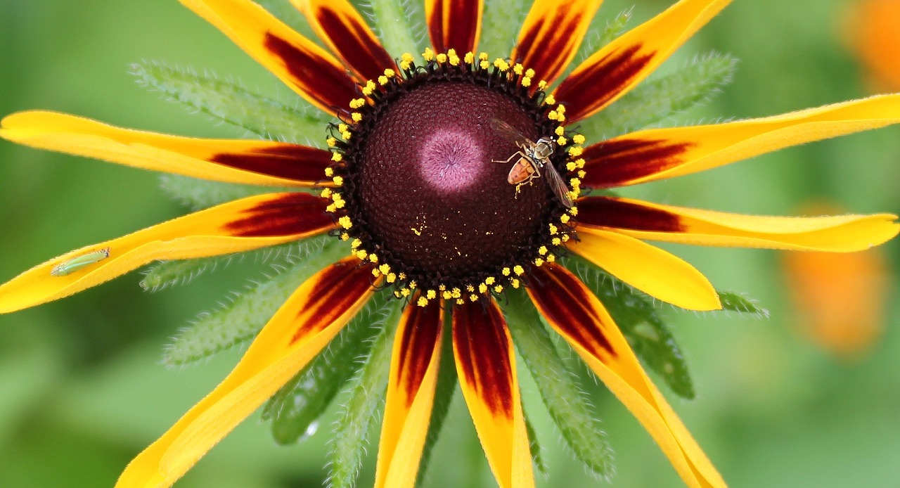 安然若梦 第12页