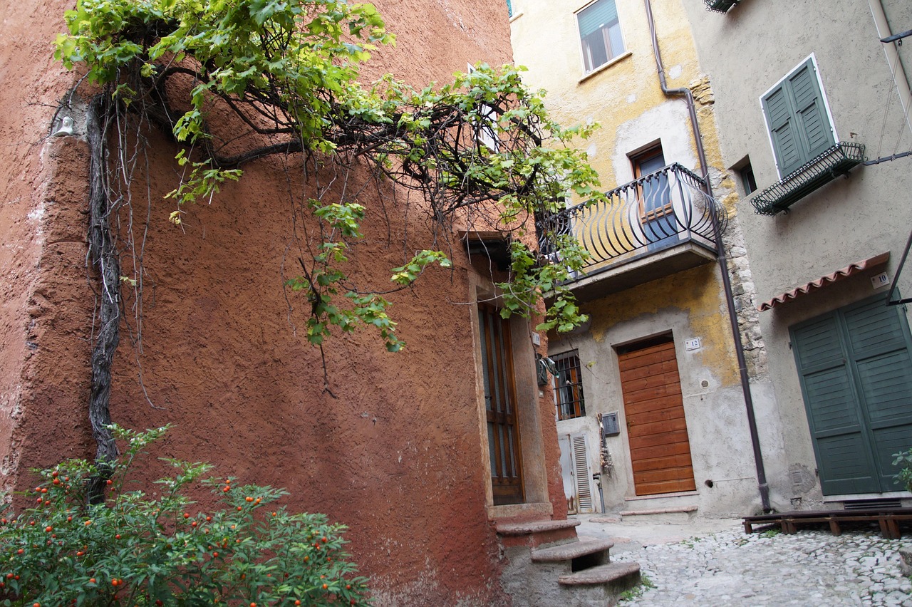 北京胡同最新风貌,历史与现代的完美交融