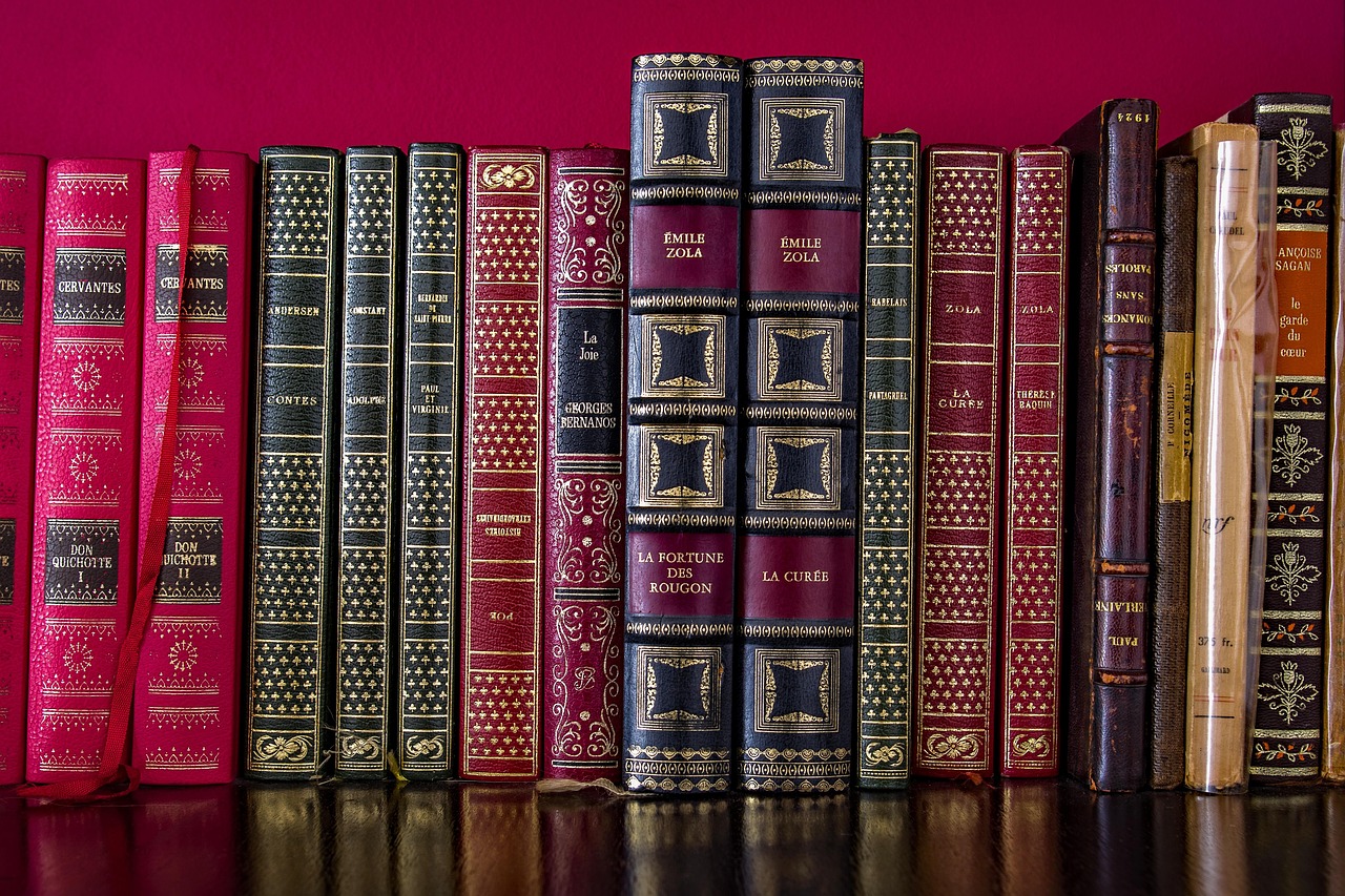 福山最新书籍探索，知识与智慧的边界之旅