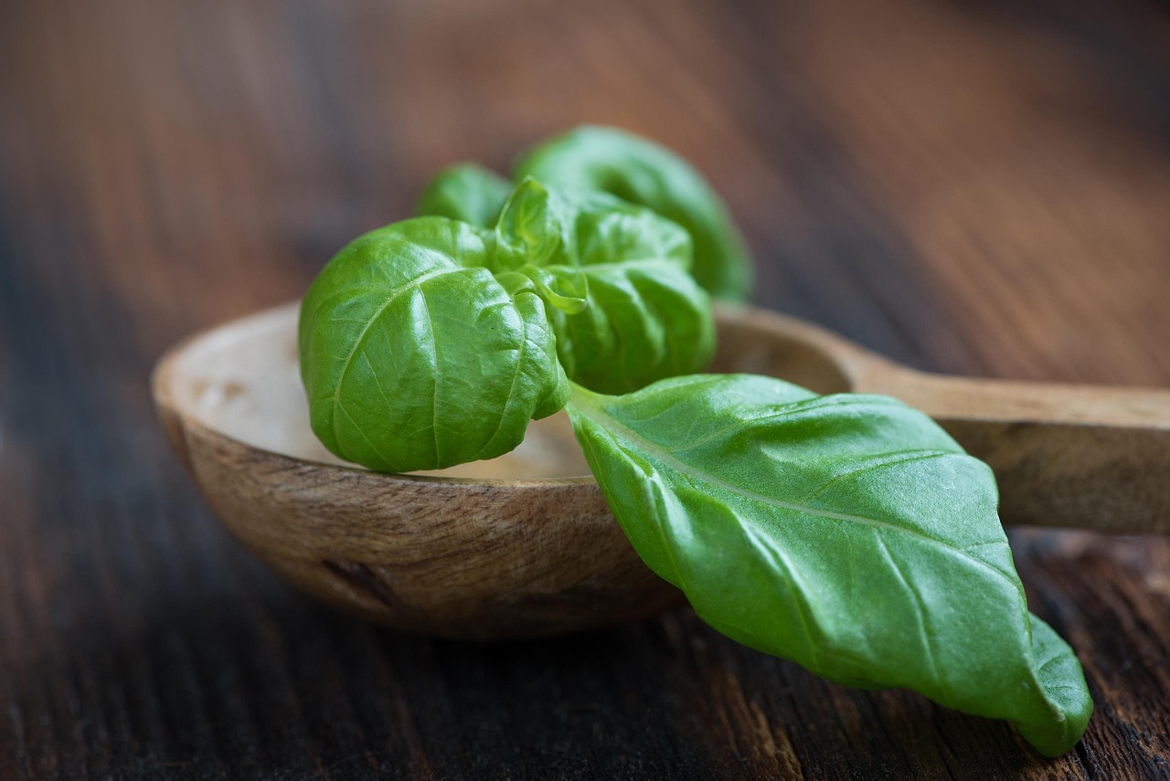 新鲜鳖，美味与健康共存的水中珍品