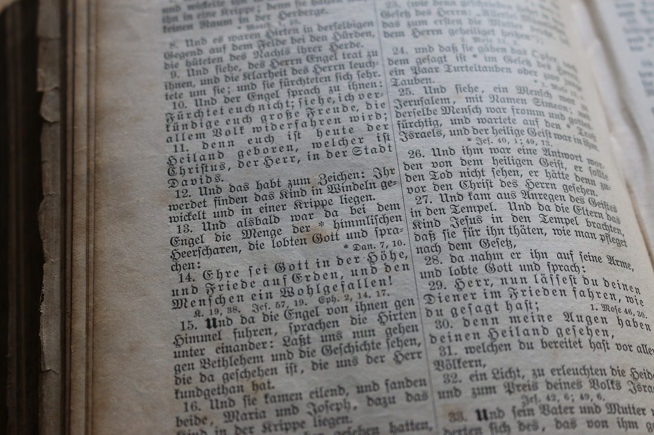 砚舟行远 第11页