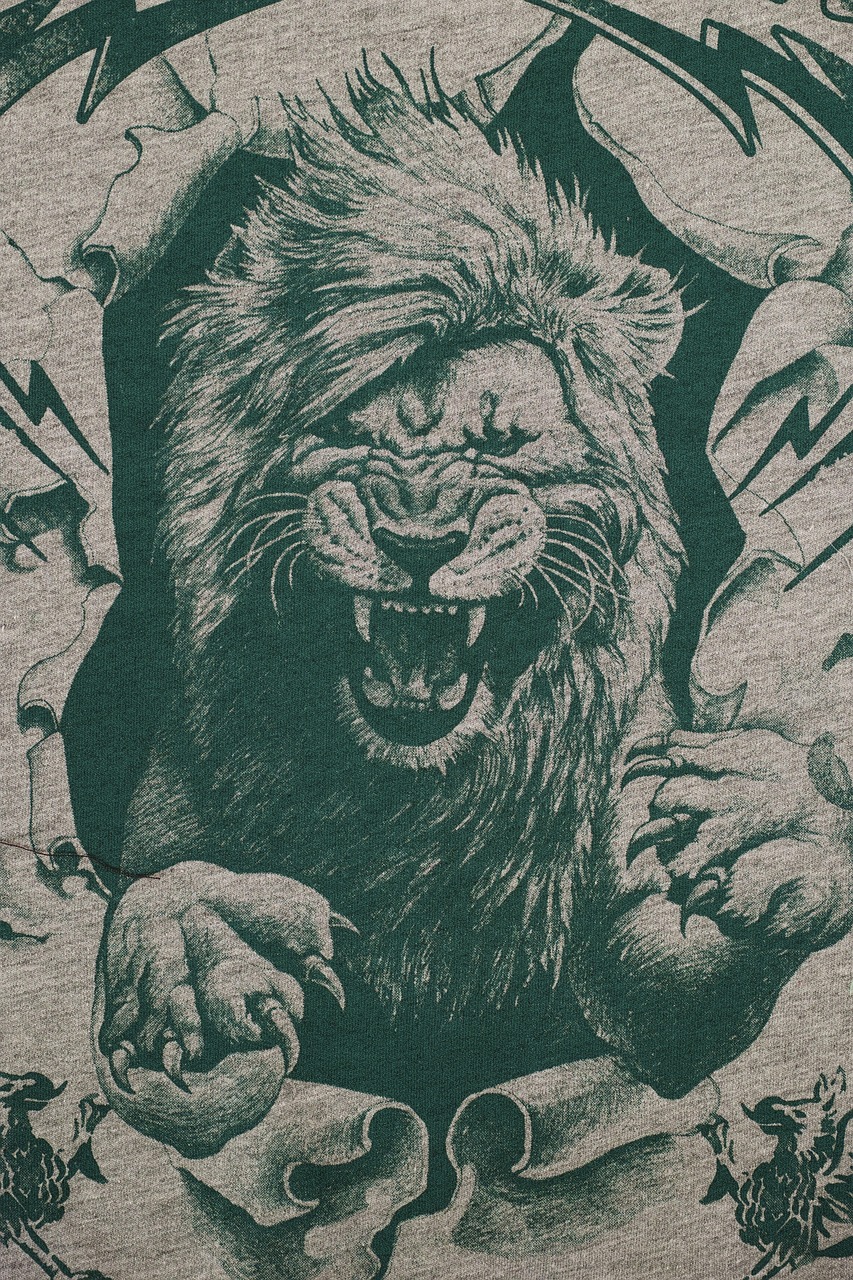 最新斗图头像，展现个性风采的新选择